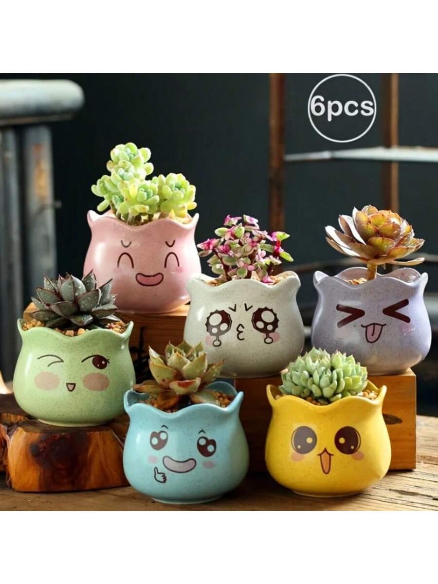 Echeveria Succulent - Juego de 6 Macetas de Cerámica