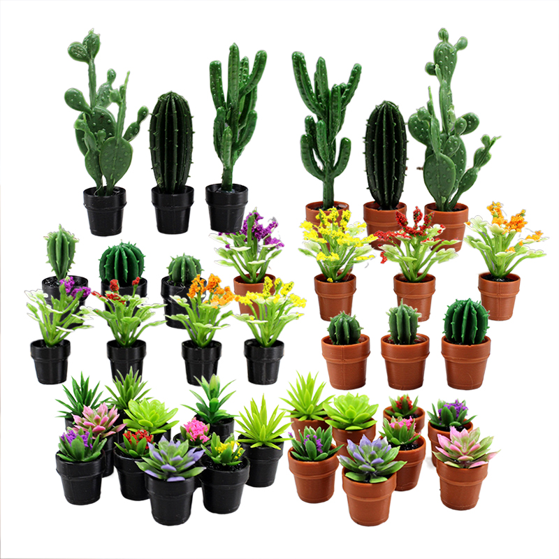 Echeveria Succulent - 8 plantas en macetas de plástico