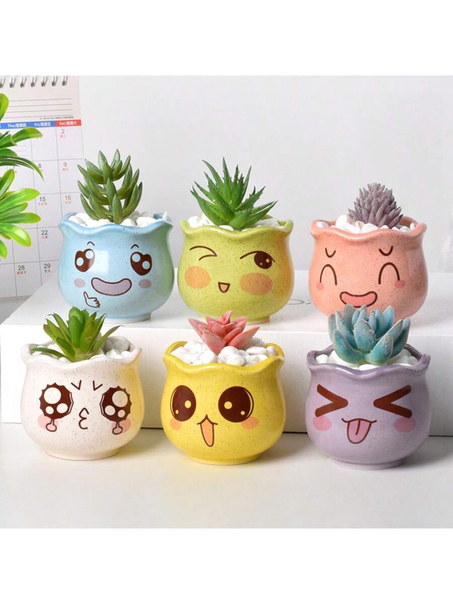 Juego de 6 Macetas de Cerámica - Echeveria Succulent reseña y precio