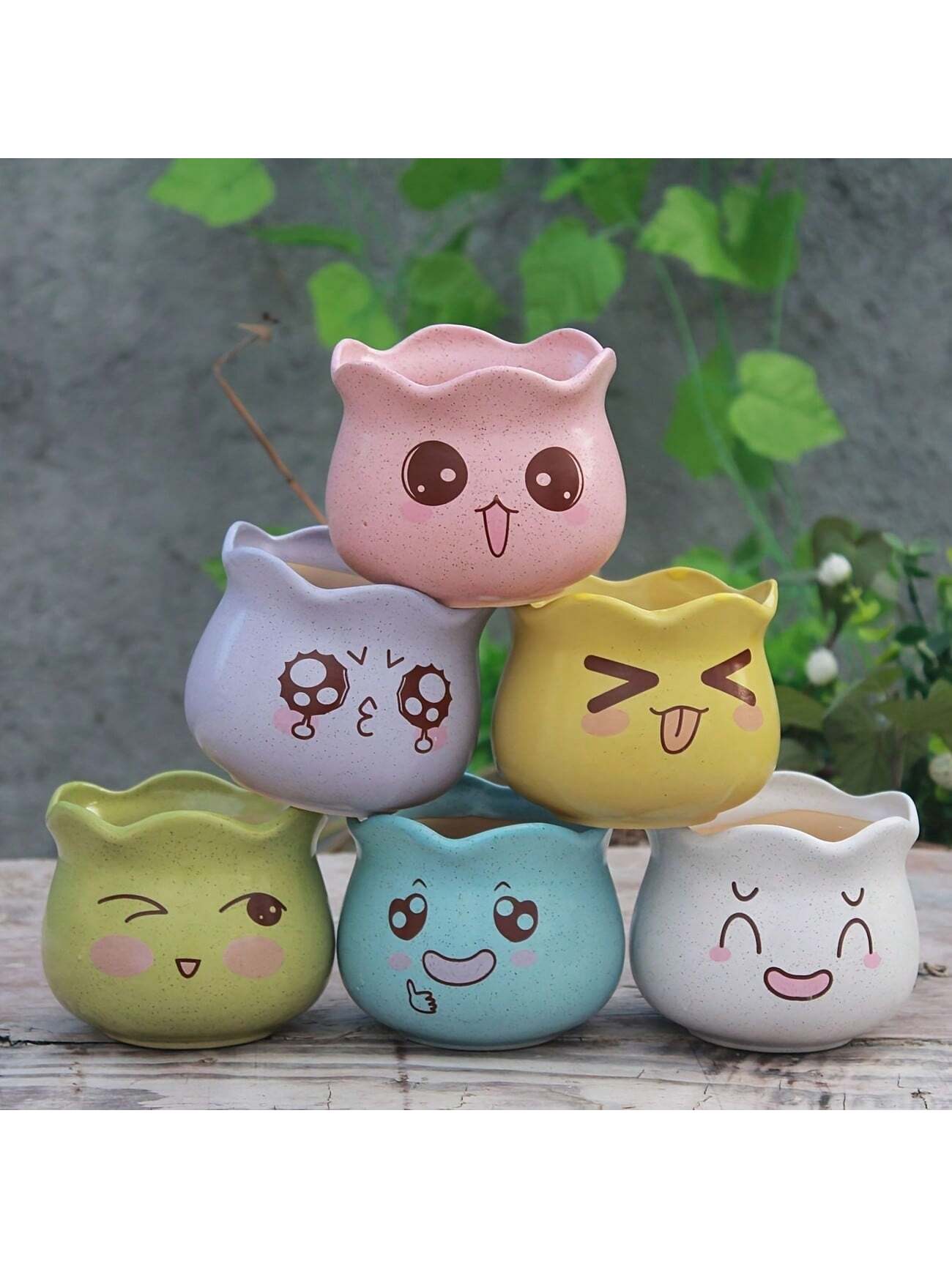 Juego de 6 Macetas de Cerámica - Echeveria Succulent reseña y precio