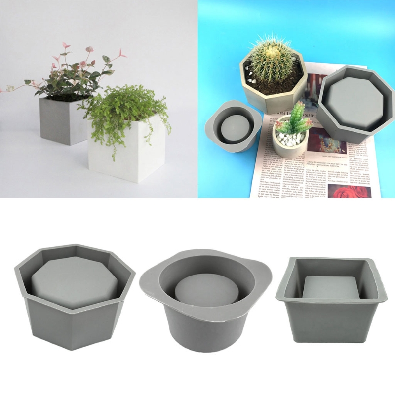 Maceta suculenta hecha a mano, - Echeveria Succulent reseña y precio