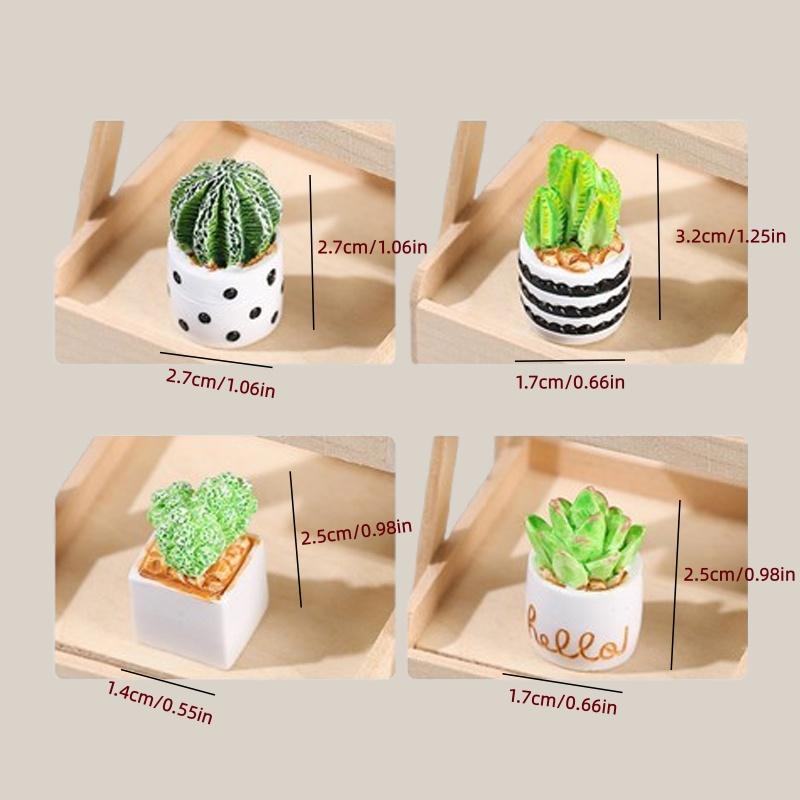 Juego de 4 Macetas con Plantas - Echeveria Succulent reseña y precio