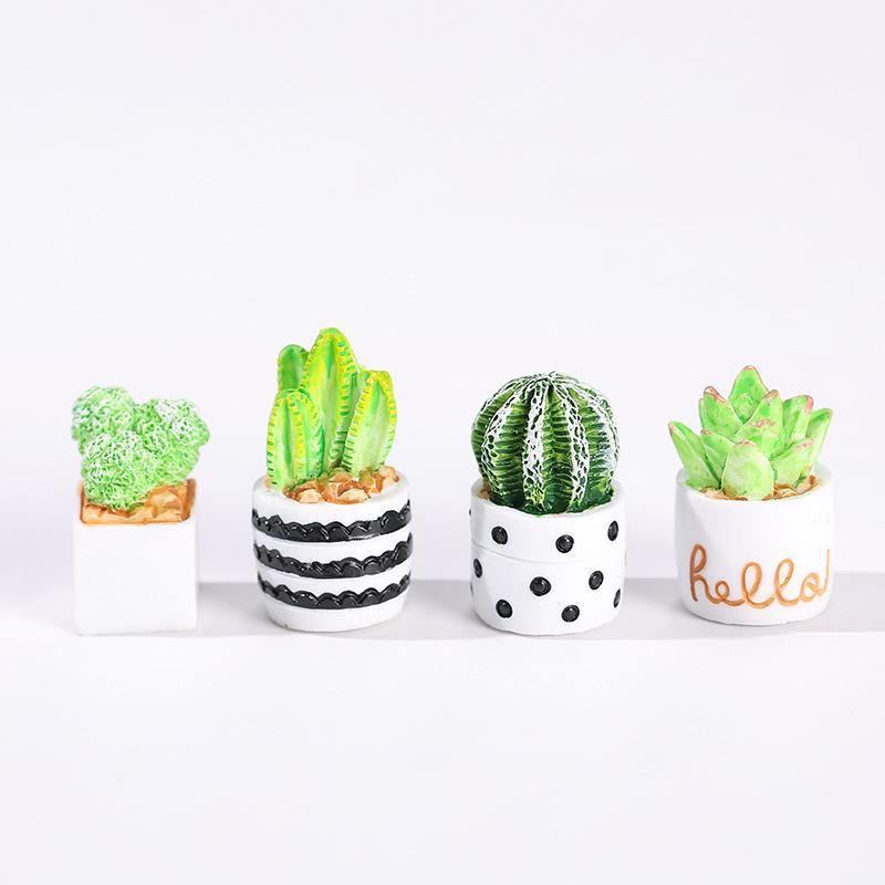 Juego de 4 Macetas con Plantas - Echeveria Succulent reseña y precio